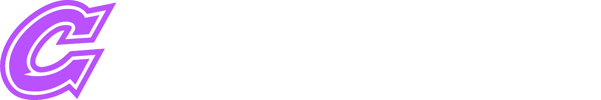 CASINETI betting picks logo